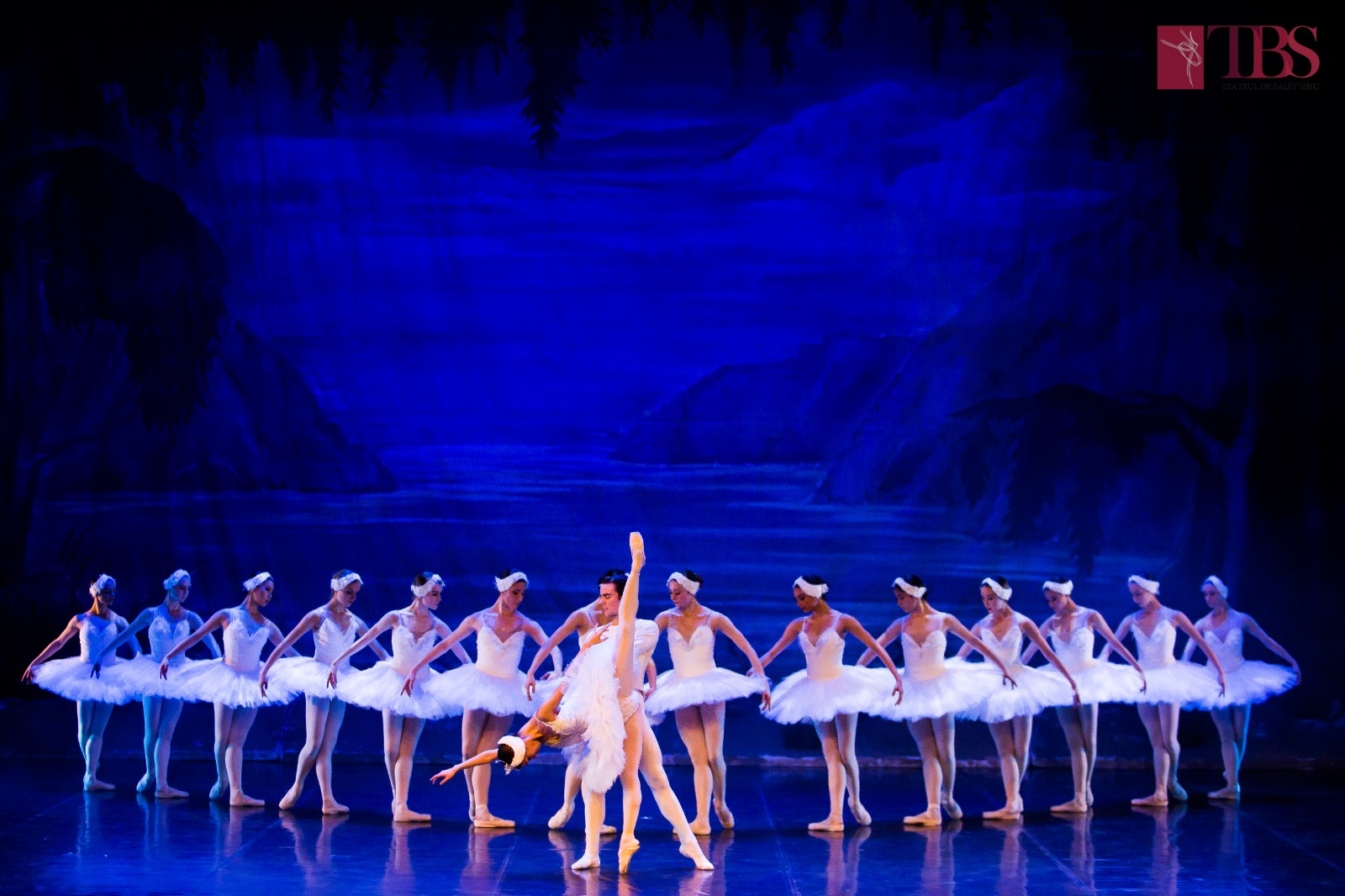 „Lacul Lebedelor” revine pe scena Teatrului de Balet Sibiu